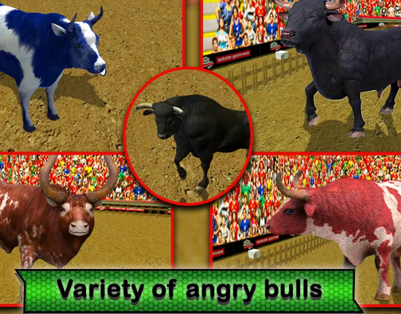 Angry Bull Attack Fight