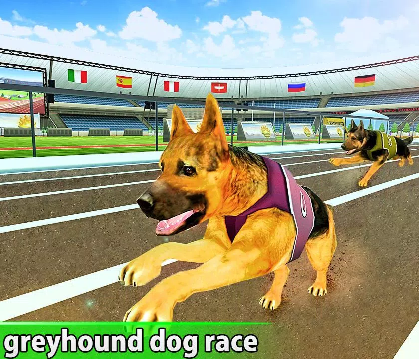 Dog Race Crazy Wild Simulator